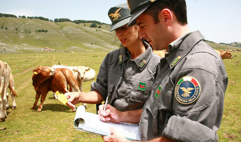 Incontro tra Confederazioni agricoltura e il Corpo Forestale