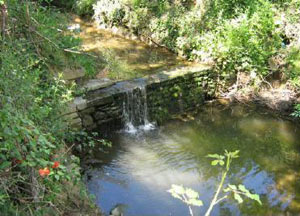 Lavori alla briglia a Soglia lungo il torrente S.Quirico