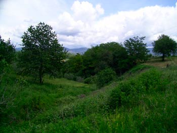 Progetto di manutenzione della vegetazione su due corsi d’acqua