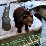 20120810_zo_orso