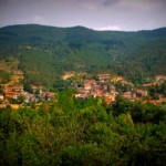 20120814_moggiona_poppi