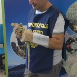 20120824_iguana_forestale