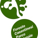 20120830_parco_casentino
