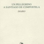 20120911_pellegrino_santiago