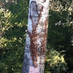 20120922_michele_paggetti_albero