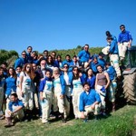 20121006_vendemmia_rondine