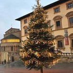 20121211_albero_natale_piazza