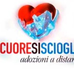 20121222_cuore