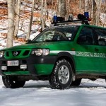 2013010_forestale