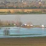 20130122_agricoltura_danni