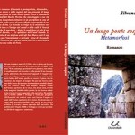 20130124_lungo_ponte_sospeso