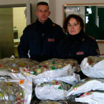 20130213_polstrada_marijuana