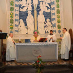 20130314_fontana_verna_papa