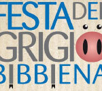 20130324_festa_grigi