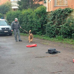 20130328_gdf_scuola_droga