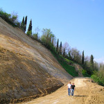 20130419_botriolo