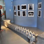 20130607_mimmo_borrelli