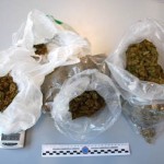 20130613_marijuana