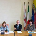 20130628_vola_rondine