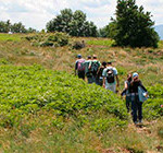 20130730_camminata_alpe_luna