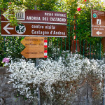 20130829_castagno_foto_visca