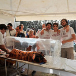 20130830_fiera_antiuquaria