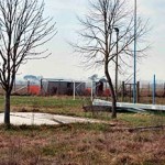 20131018_campo_abbandonato_frassineto