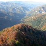 Parco Autunno