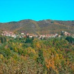 20131024_casentino