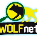 20131029_wolfnet