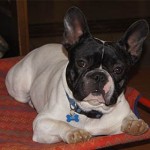 20131104_pato