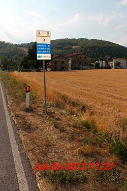 ‘Io, sopravvissuta per miracolo ad un incidente stradale causato da un cinghiale’