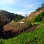 2013113_botriolo