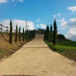 20140217_cimitero_marciano