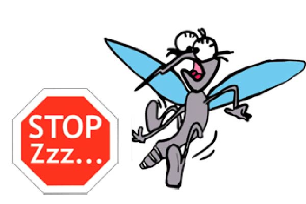 Sansepolcro, Stop alle zanzare: da domani il trattamento con larvicida