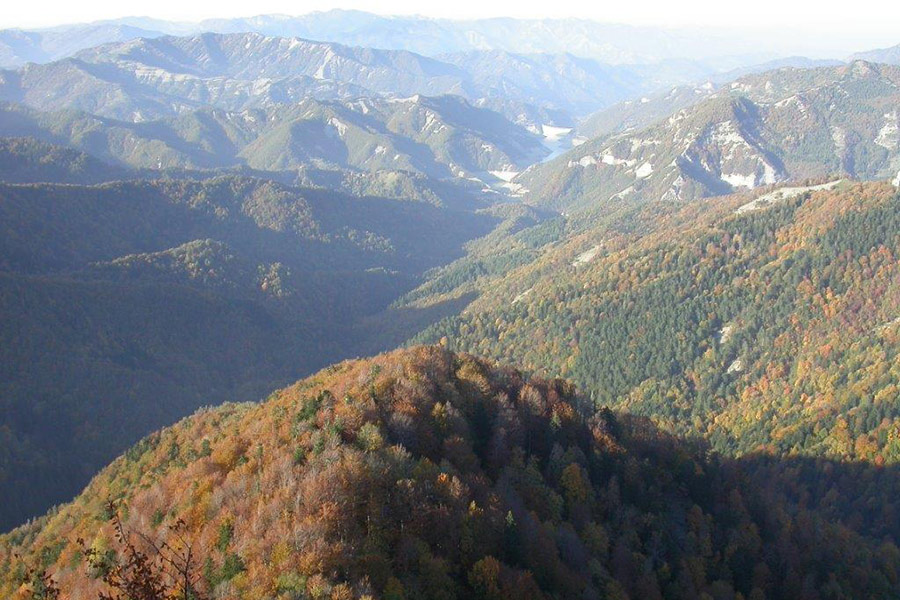 Le Faggette del Parco delle Foreste Casentinesi candidate a patrimonio Unesco