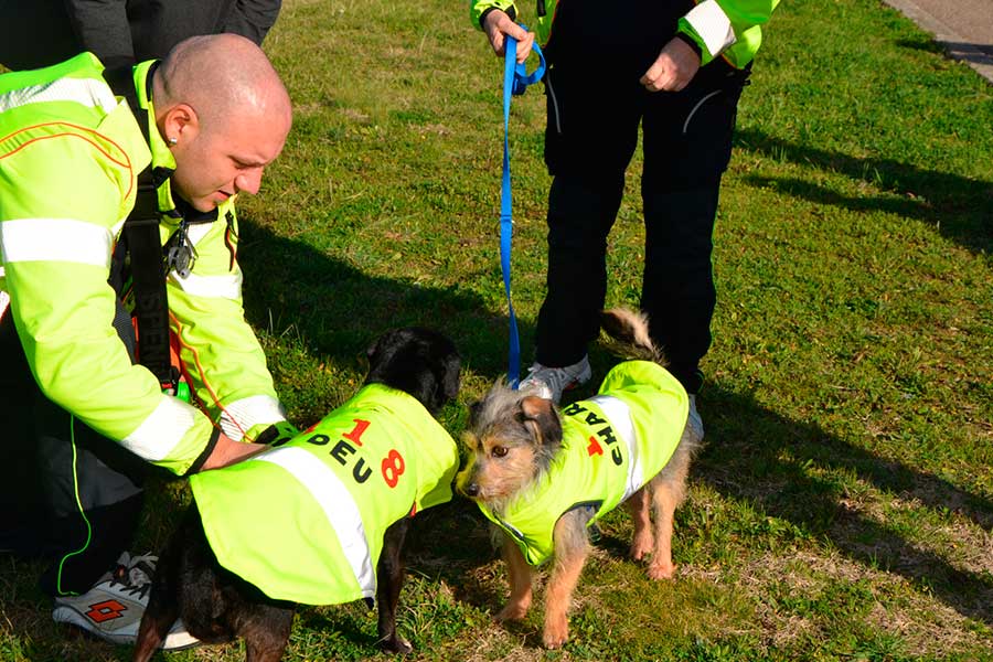 Quattro zampe al 118: adottati due cani abbandonati in un cassonetto