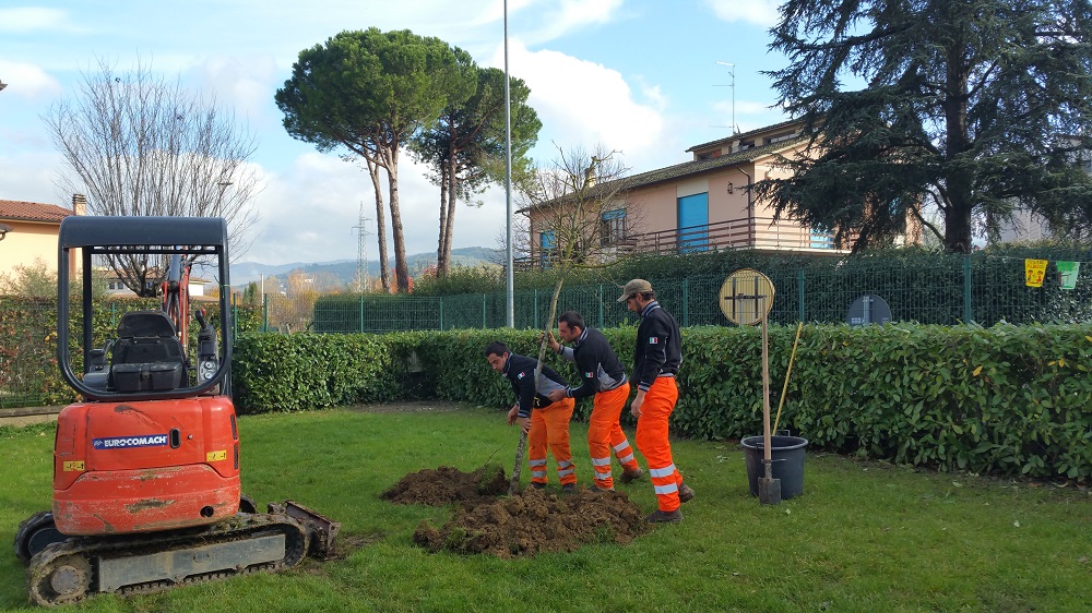 Scuole comunali: al via la piantumazione di nuovi alberi