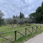Colle del Pionta