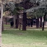 Colle del Pionta