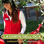 Oca_0106_1