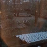 IMG_20191212_074118.jpg