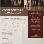 codice forestale