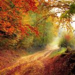 bosco natura