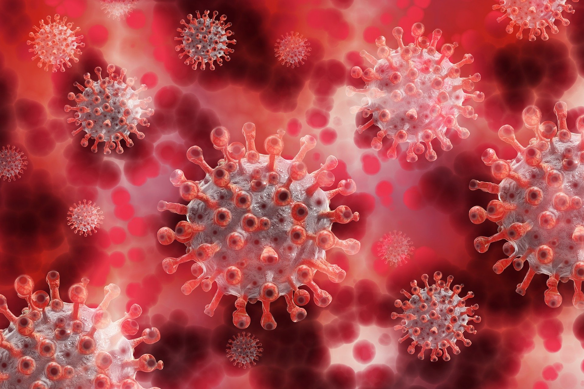 Coronavirus: in Toscana 65 nuovi casi, età media 32 anni. Un decesso