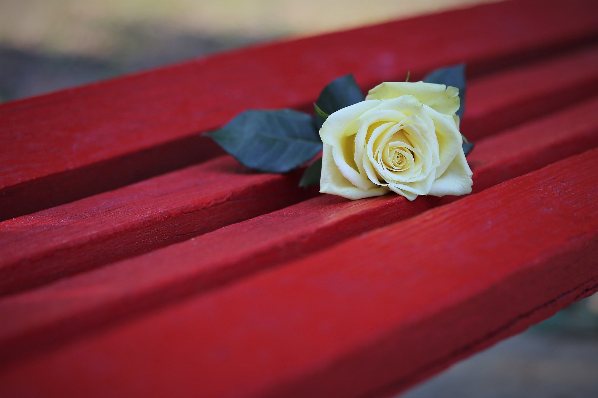 Una “panchina rossa” nel cuore di Poppi per ribadire con forza il NO alla violenza sulle donne