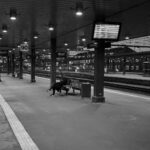 treno-stazione-viaggio_2