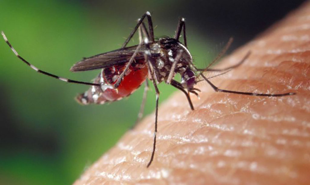 Disinfestazione dalle zanzare, prosegue il trattamento sull’intero territorio comunale di Terranuova